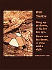 Old Turtle