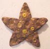 Hope Star