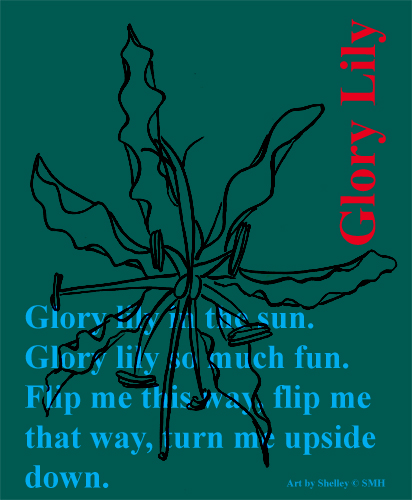 Glory Lily
