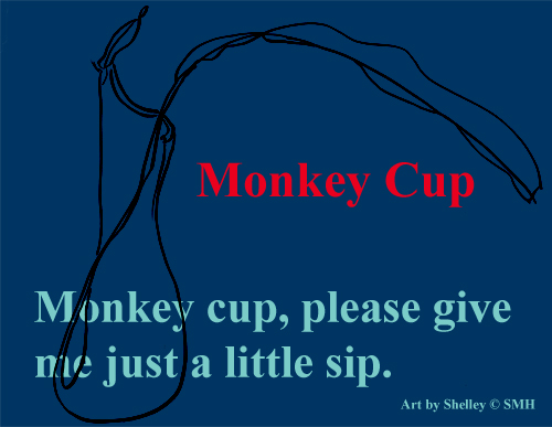 Monkey Cup