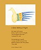 A Bird Without Flight